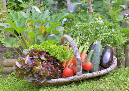 Spring on the Bayou: Pairing Olive Oils with Garden-Fresh Veggies