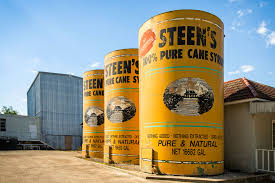 Exploring Steen's Syrup: A Deep Dive into Its History and Products