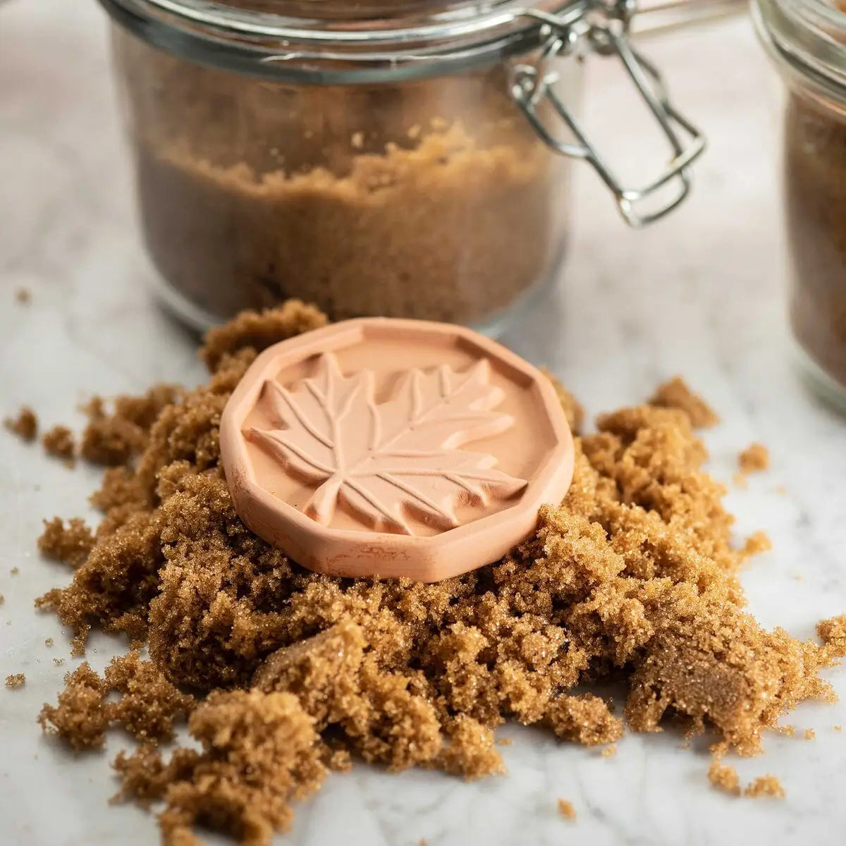 Brown Sugar Saver
