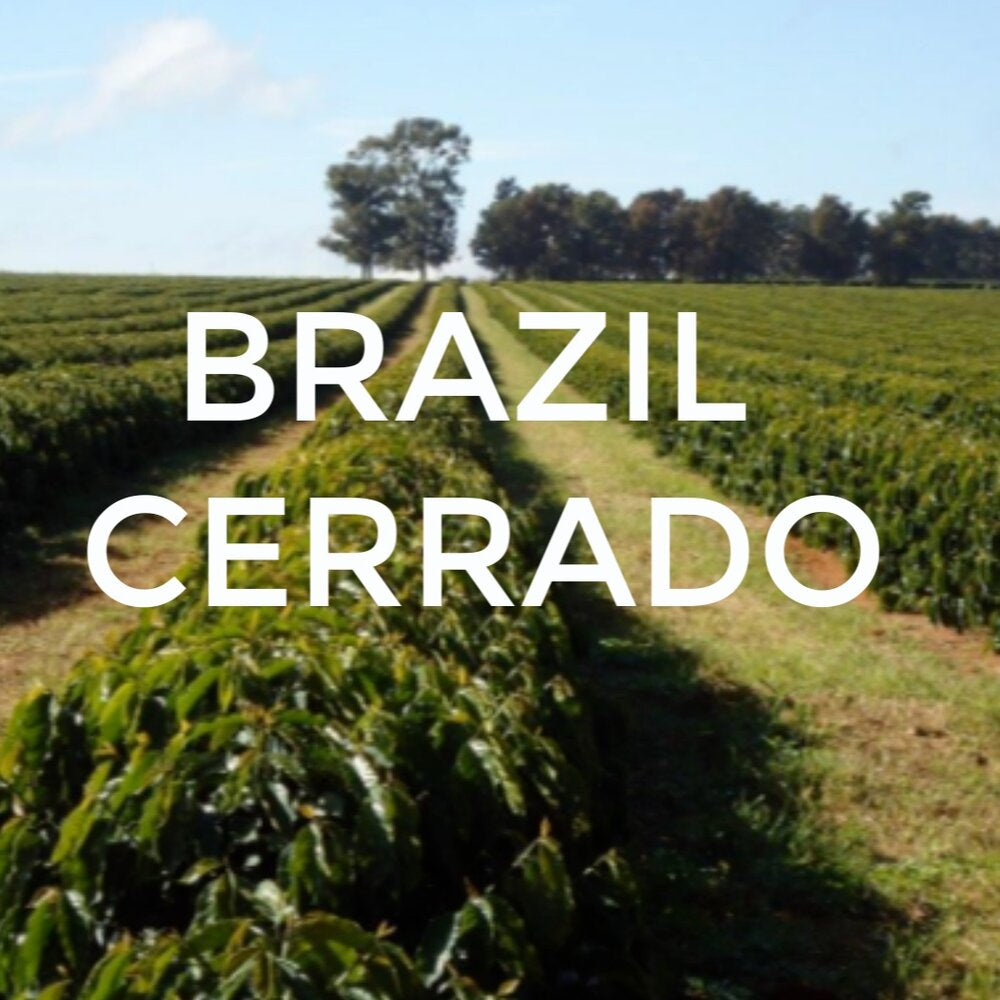 Cerrado - FTO Roasted Whole Bean Coffee