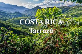 Tarrazu - FTO Roasted Whole Bean Coffee