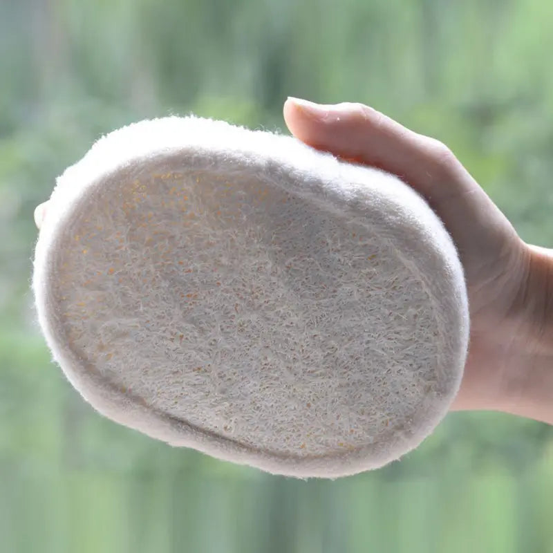 Bath Shower Sponges